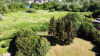 1. Reihe am Nord-Ostsee-Kanal mit tollem Grundstück - Luftbild Garten