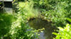 Schönes Haus für eine kleine Familie.
Toplage mit möglichem Bauplatz. - Gartenteich