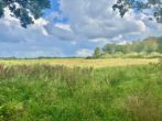 Felder - Leben mit Störchen am Naturschutzgebiet