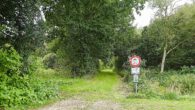 Wirtschaftsweg - Leben mit Störchen am Naturschutzgebiet