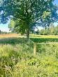 Grundstück - Weidefläche am Stadtrand von Büdelsdorf