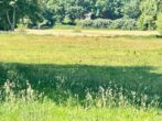 Garten - Weidefläche am Stadtrand von Büdelsdorf