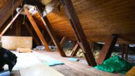 Dachboden - Ein Haus für Profis, die aus Problemen Rendite machen