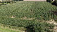 Ackerfläche - Ackerfläche – 2,83 Hektar mit 60 Bodenpunkten bei Felde