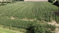 Ackerfläche - Ackerfläche – 2,83 Hektar mit 60 Bodenpunkten bei Felde