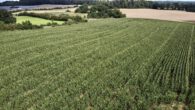Ackerfläche - Ackerfläche – 2,83 Hektar mit 60 Bodenpunkten bei Felde