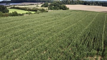 Ackerfläche – 2,83 Hektar mit 60 Bodenpunkten bei Felde, 24242 Felde, Land-/Forstwirtschaft