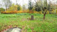 Garten - Handerwerkerhaus oder Baugrundstück- Sie entscheiden !